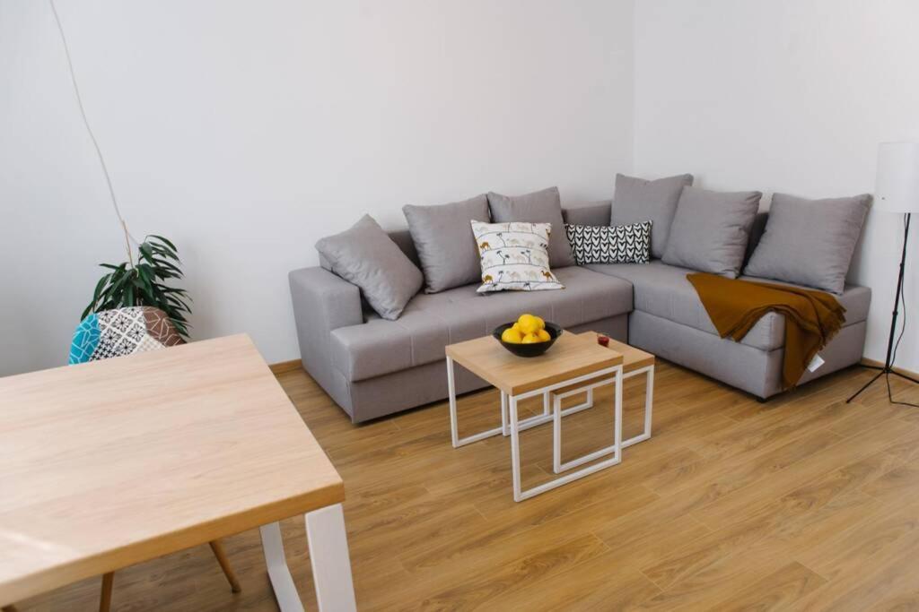 פודגוריצה Millennium Bridge Cozy Apartment Top Location מראה חיצוני תמונה